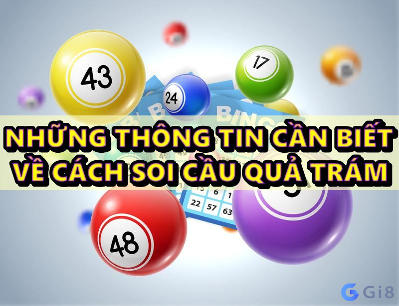 cầu quả trám