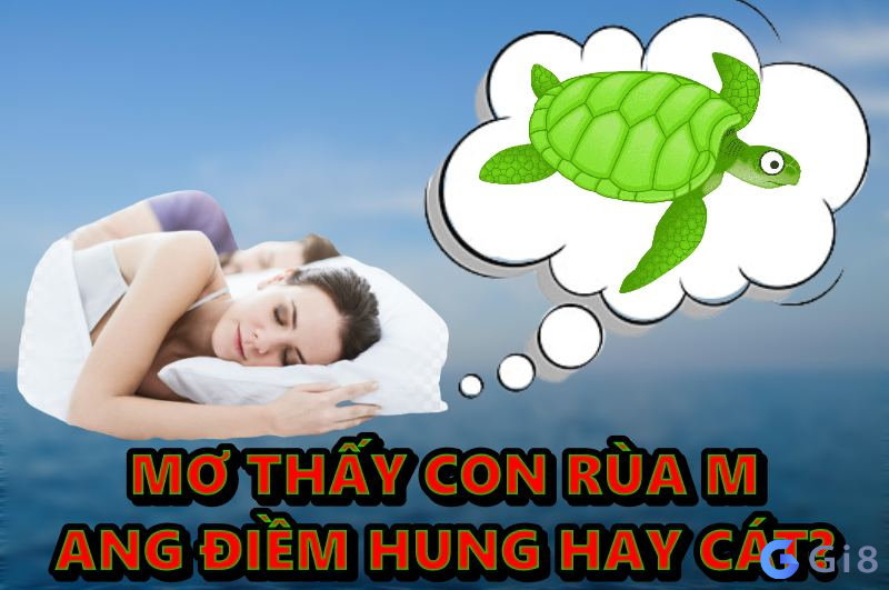 mơ thấy con rùa