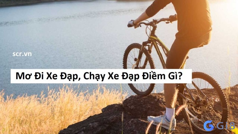 Mơ thấy xe đạp đánh con gì? Giải mã những giấc mơ cùng gi88