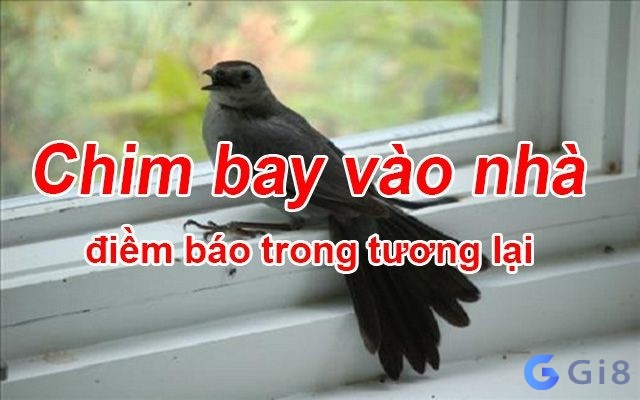 Chim khách bay vào nhà tốt không? Cùng gi88 giải mã điềm báo