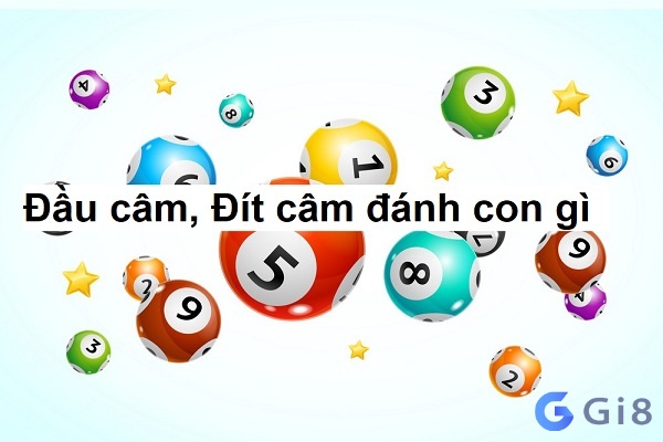 Bỏ túi ngay những cách chơi cam dit hiệu quả 