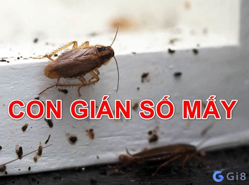 Nếu nằm mơ thấy con gián là số mấy chơi đề dễ thắng?