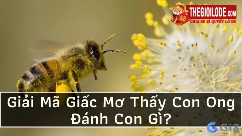 Mơ thấy con ong đánh số mấy đổi đời?