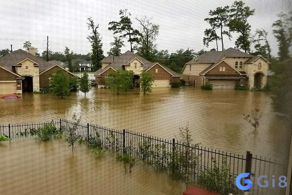 Mơ thấy nước lũ đánh con gì còn tùy thuộc vào chi tiết giấc mơ