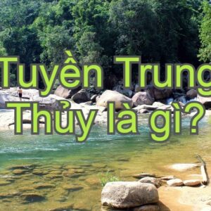 Trung thủy là gì: Tìm hiểu về mệnh Tuyền Trung Thủy chi tiết