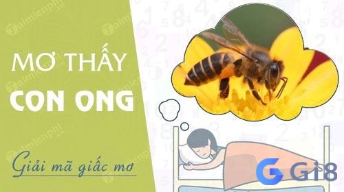 Ý nghĩa về việc mơ thấy ong