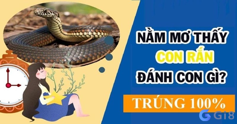 Chiêm bao thấy ăn thịt rắn đánh số nào dễ trúng và máy mắn?