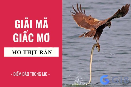 Ý nghĩa về chiêm bao thấy ăn thịt rắn