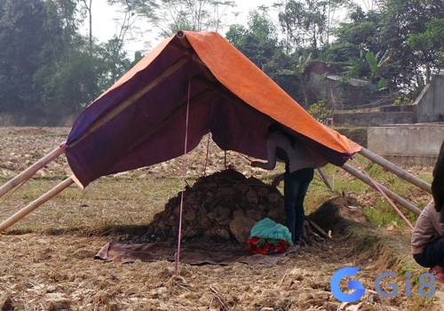 Ngủ mơ thấy đào mộ của mình muốn nhắc nhở bạn chớ ngủ quên trên chiến thắng quá lâu