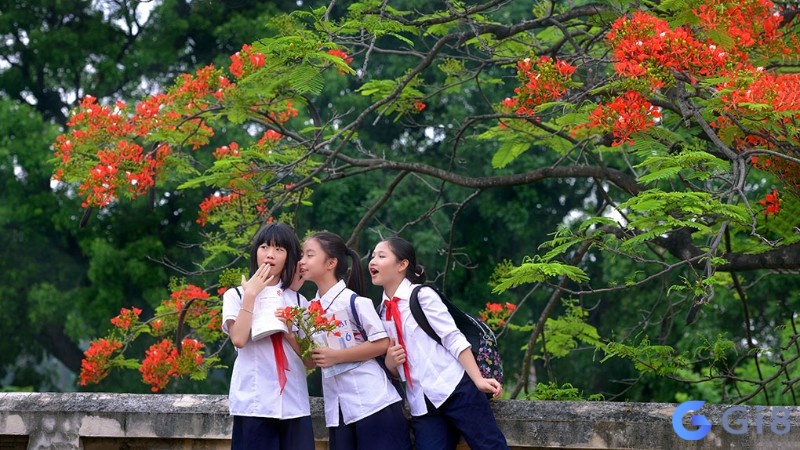 Nằm mơ thấy mình đi học lại là cảm giác bồi hồi về thời học sinh rất khó quên