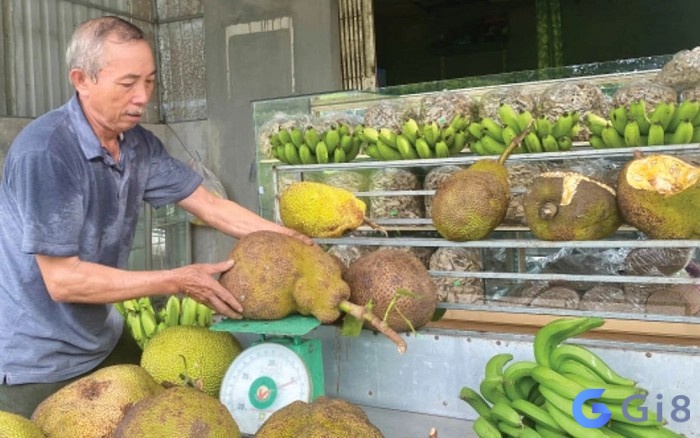 Mơ ăn mít chín khi đi du lịch cho thấy bạn đang hoặc sẽ có cơ hội trải nghiệm những điều mới mẻ